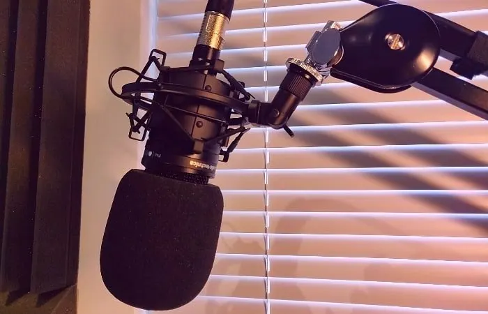 AT2020 Mic with pop filter. Photo taken in my home studio.