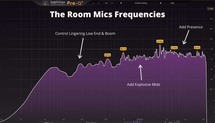 The Room Mics Frequencies 