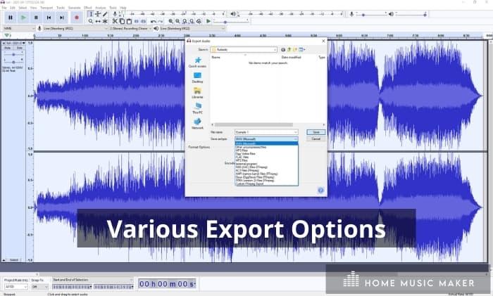 Audacity Various Export Options