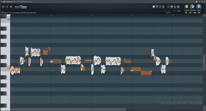 Opening NewTone In FL Studio