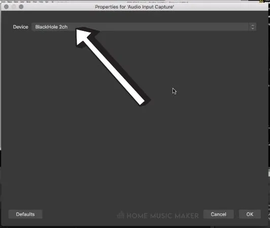 Select BlackHole For Audio Input Capture
