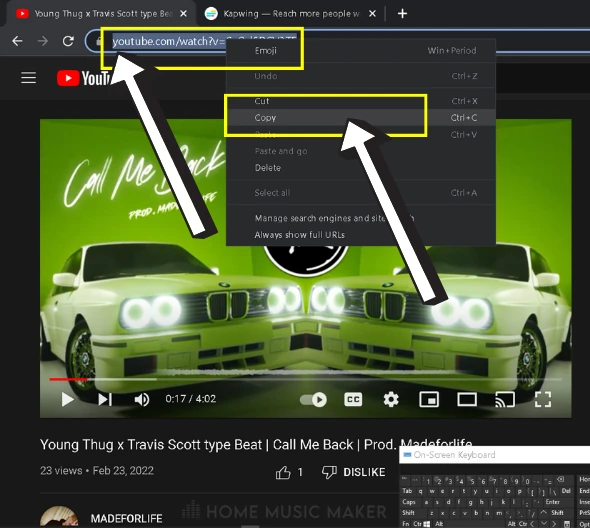 Copy and paste the URL of the YouTube video from which you want to rip