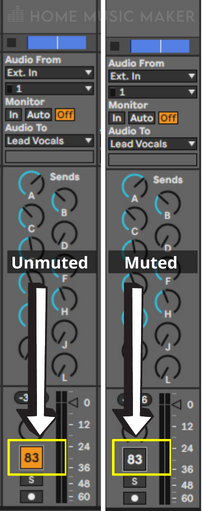 Ableton Session View Muted and Unmuted Tracks