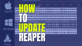 How To Update REAPER